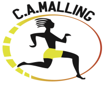 Logo C.A.M.png
